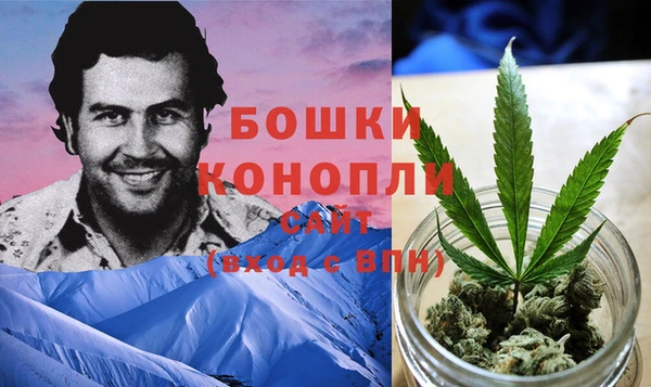 дживик Володарск