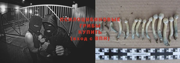 дживик Володарск