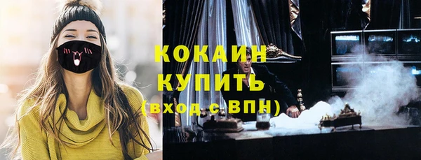 прущие грибы Щучье